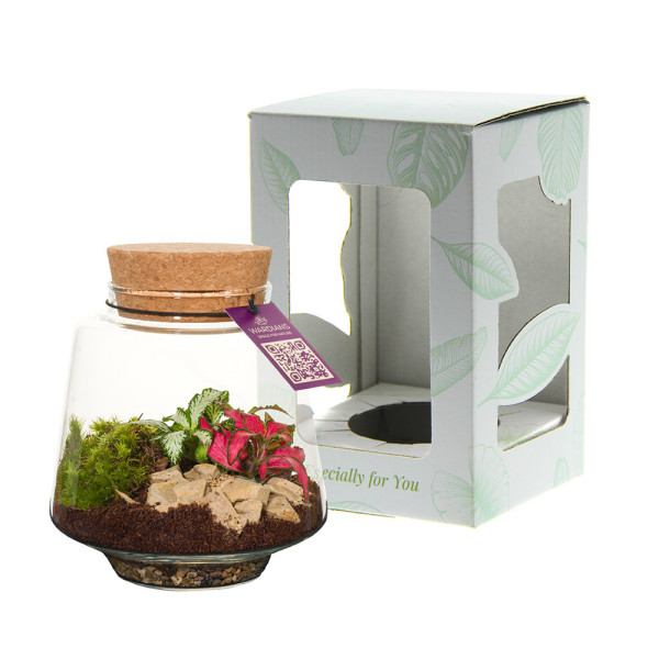 Wardians® Ecosystem - Conical small