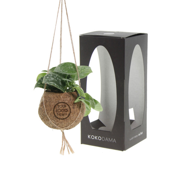 Kokodama® - Green mix (S)