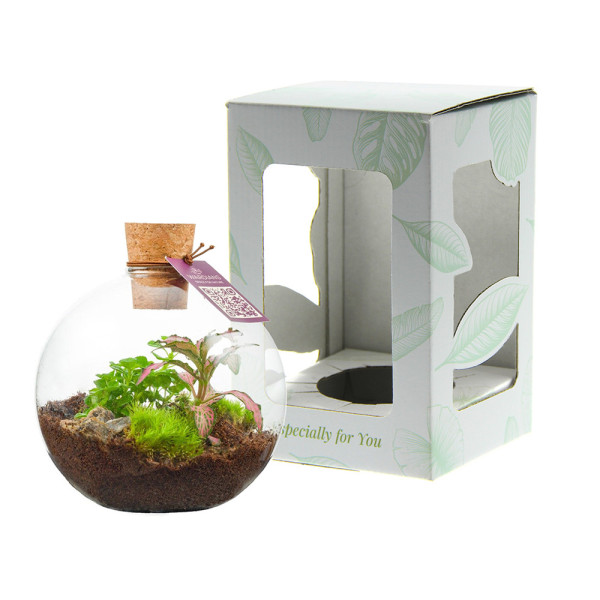 Wardians® Ecosystem - Bowl small